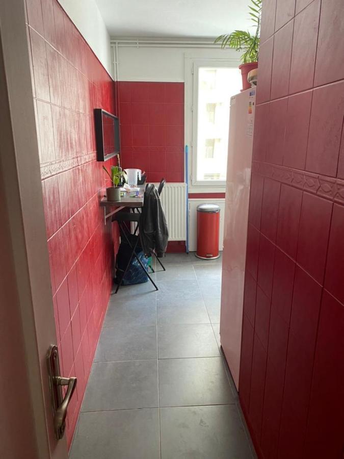 Chambre Meublee Verte Boulevard Joseph Vallier Apartment Гренобъл Екстериор снимка